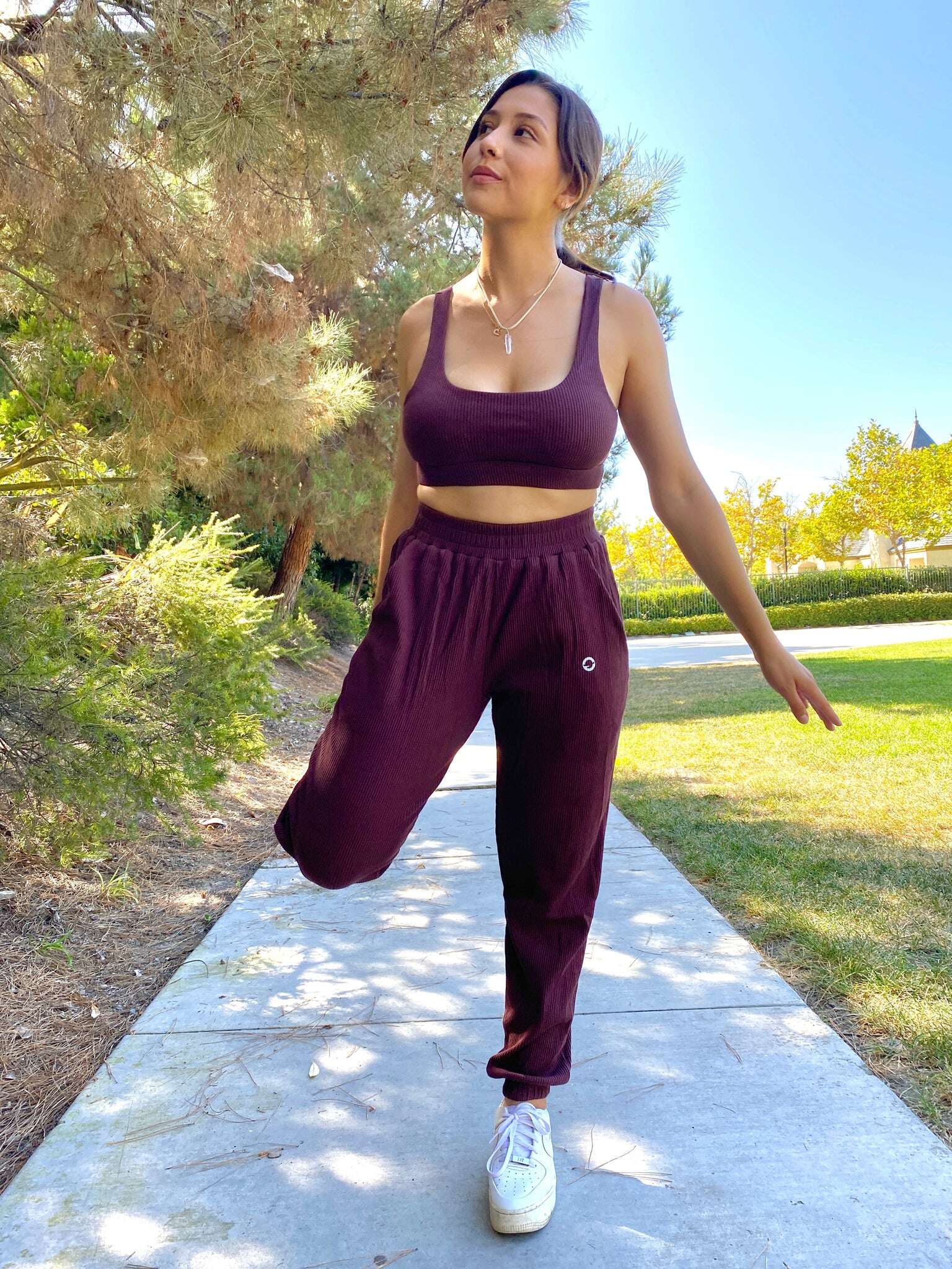 Astral Sports Bra and Joggers Set - Maroon – Orbit Activewear